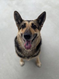 Misha