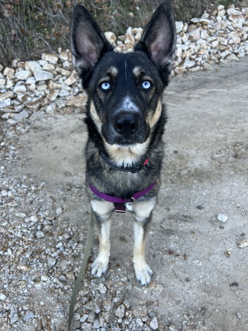 Sadie photo 3