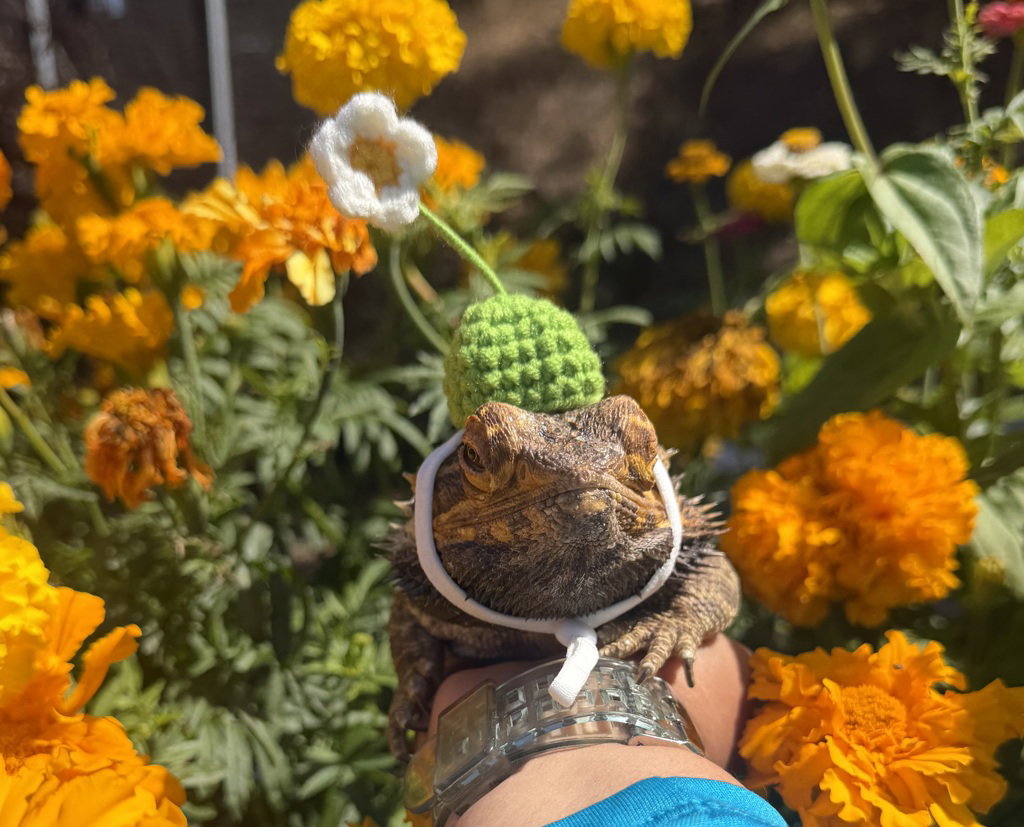 Morty, photo 2