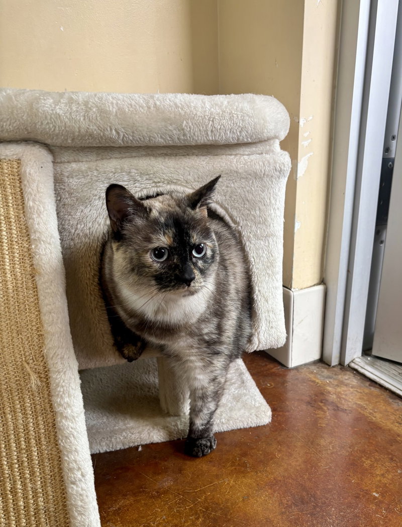 Luna, photo 2