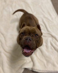 Fiona