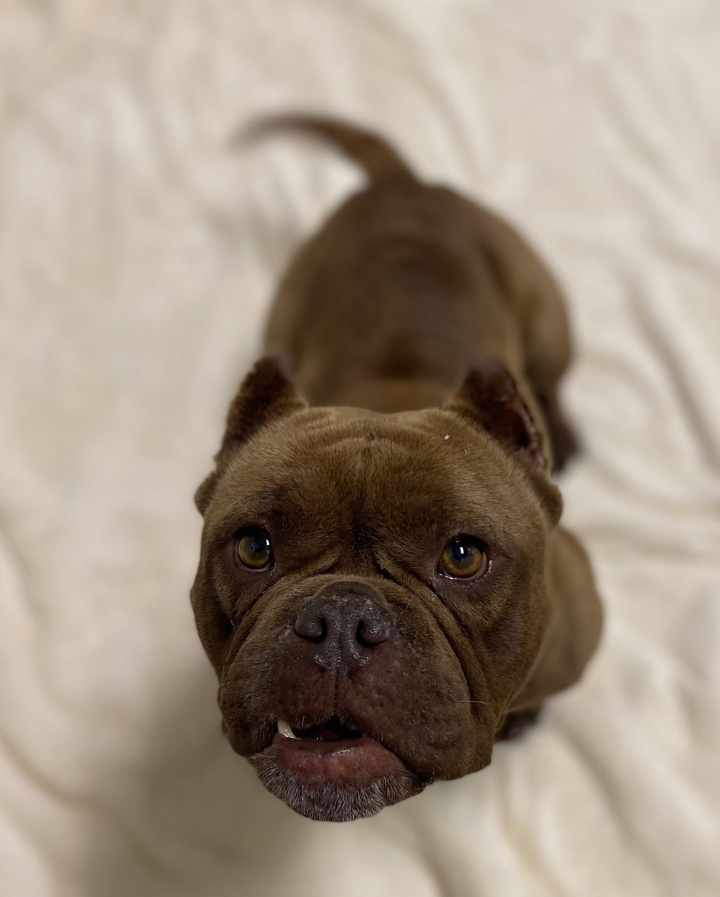 Fiona, photo 2