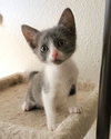 Jolene - Photo 3