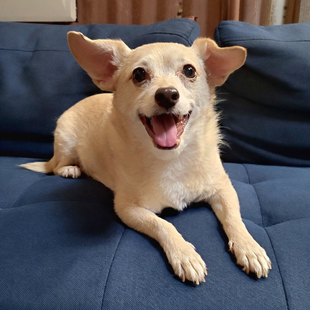 Archie