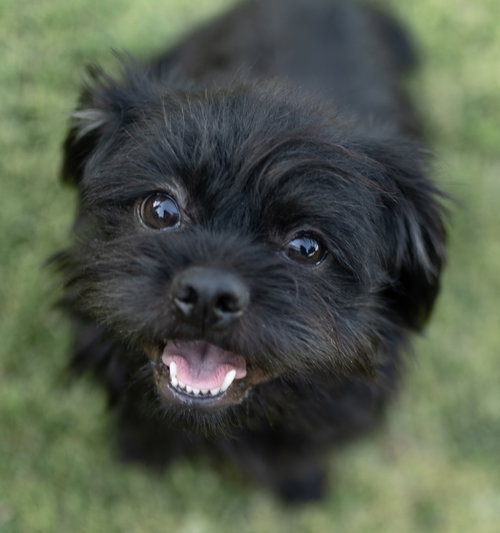 Benny