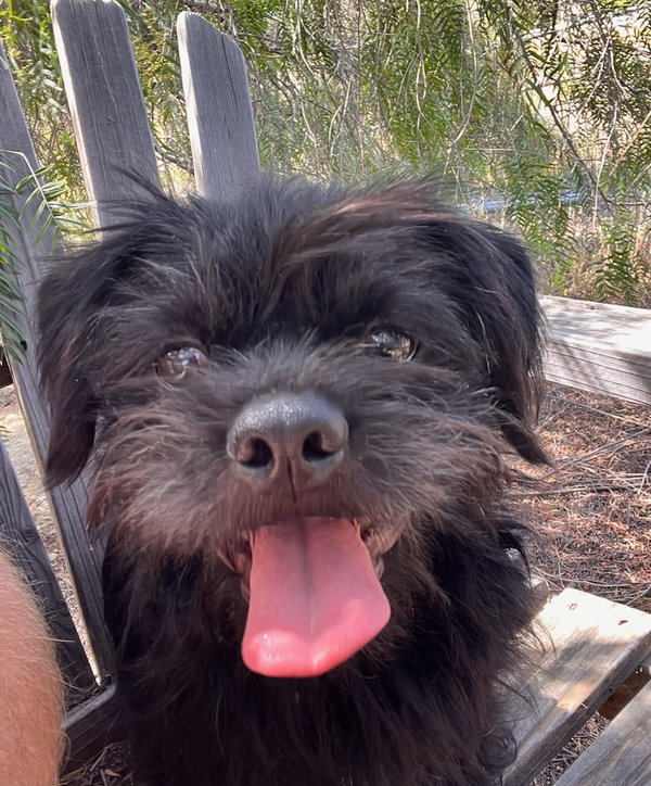Benny