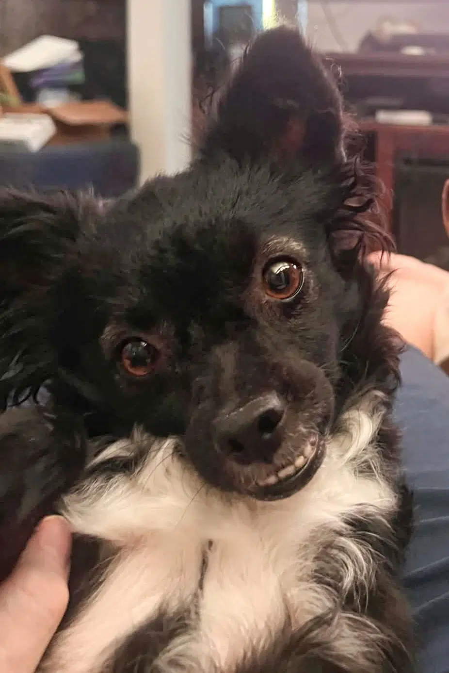 Fendi image 4