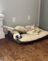 Onyx - Photo 3