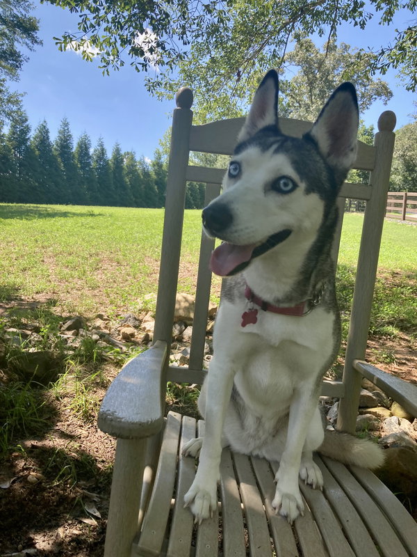 Sierra