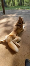 Sev - Photo 4