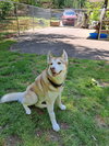 Sev - Photo 5