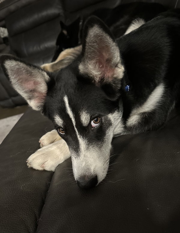 Max