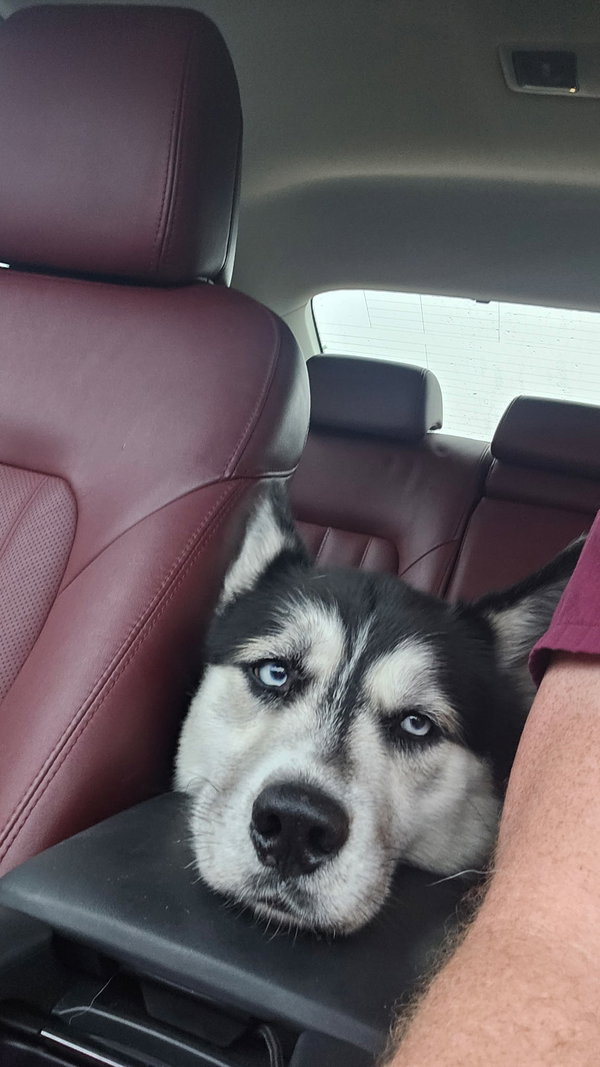 Silas