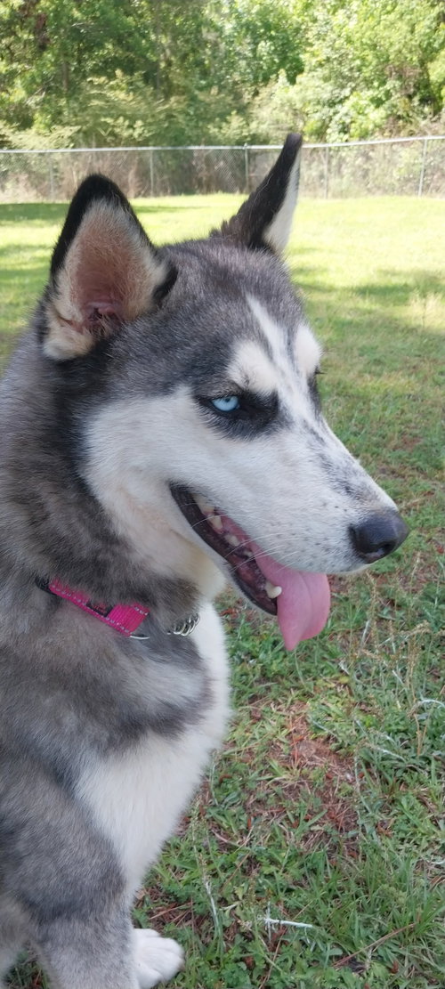 Wilma photo 2