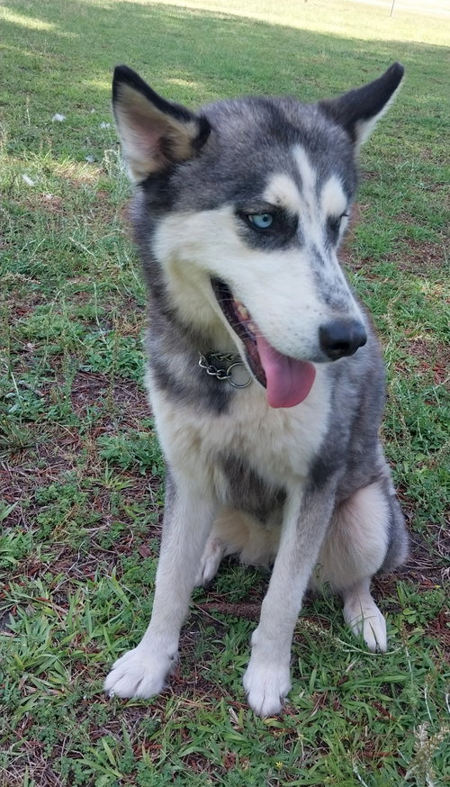 Wilma photo 3