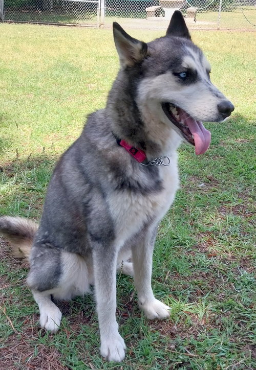 Wilma photo 4