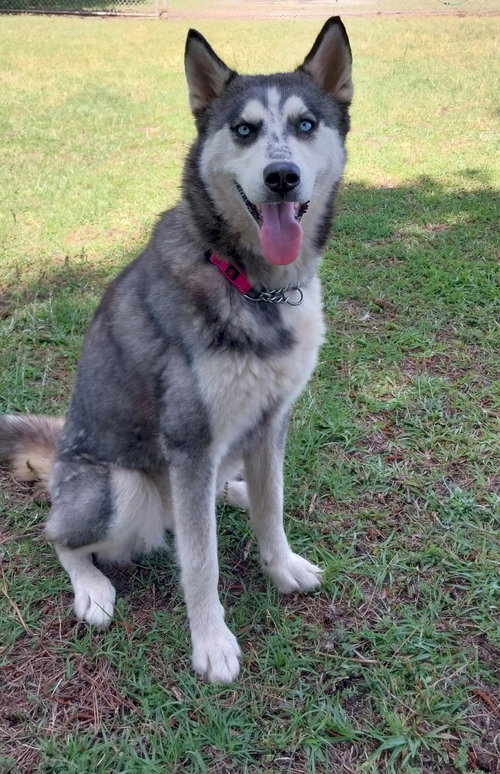 Wilma photo 5
