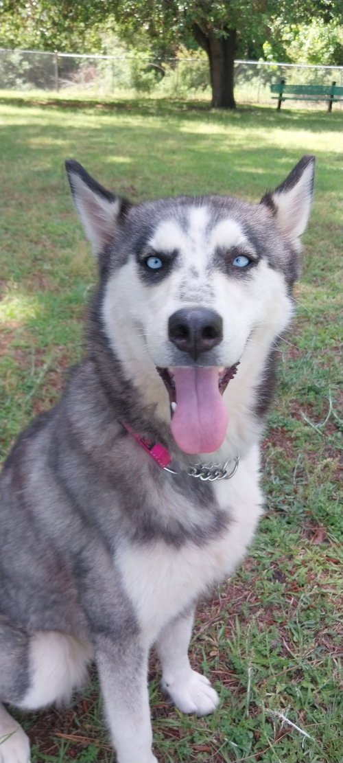 Wilma photo 6