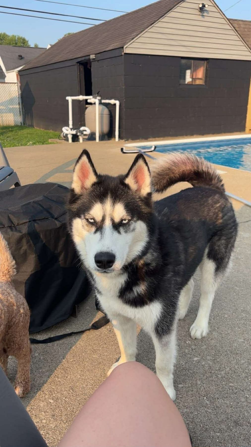 Koba