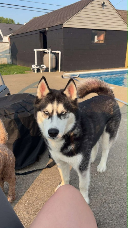 Koba