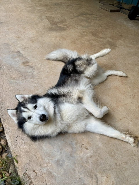 Link photo 3