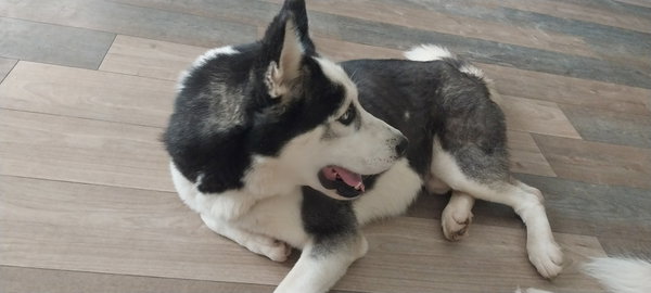 Rico