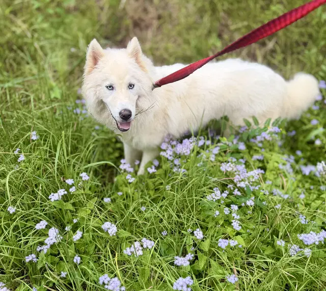 Yuki image 2