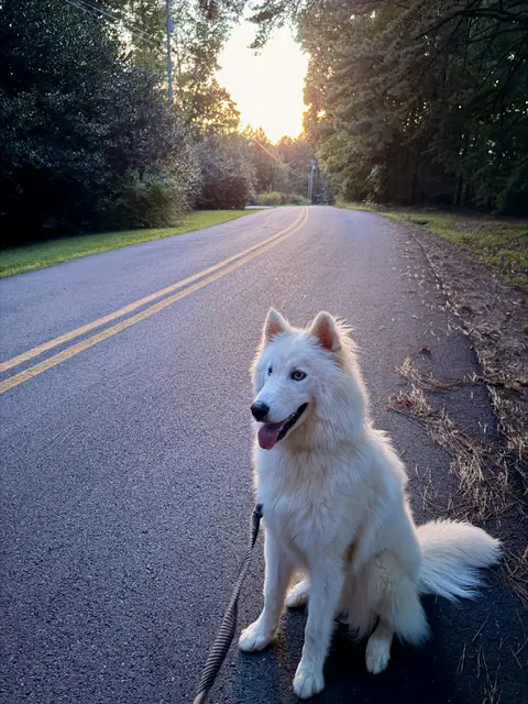 Yuki image 3