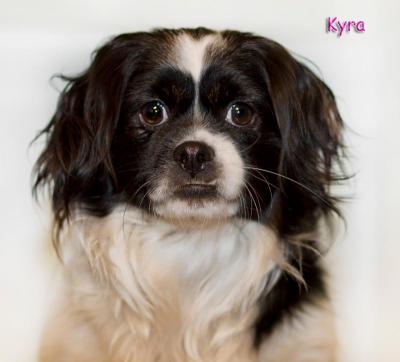 Kyra