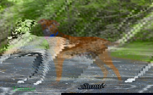 Emmie