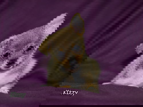 Kizzy