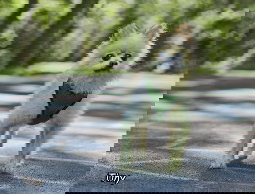 Tiny
