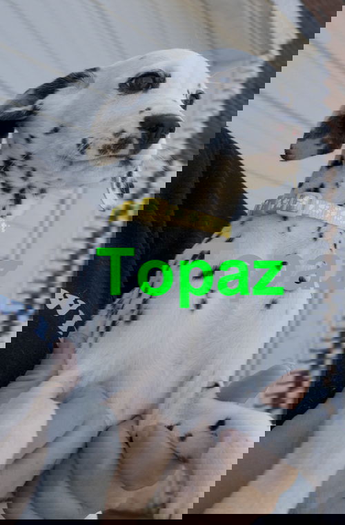 Topaz