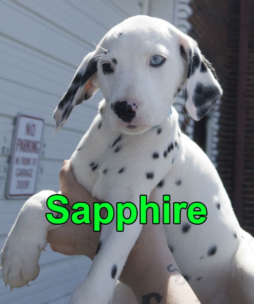 Sapphire