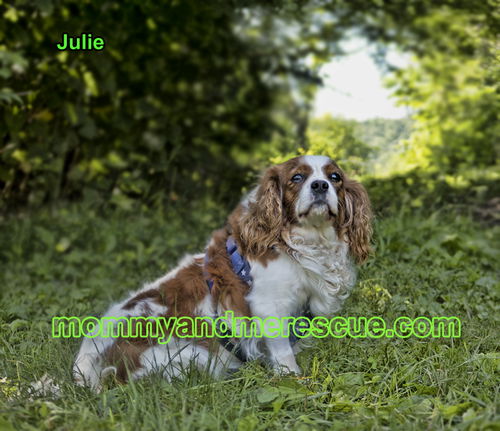 Julie