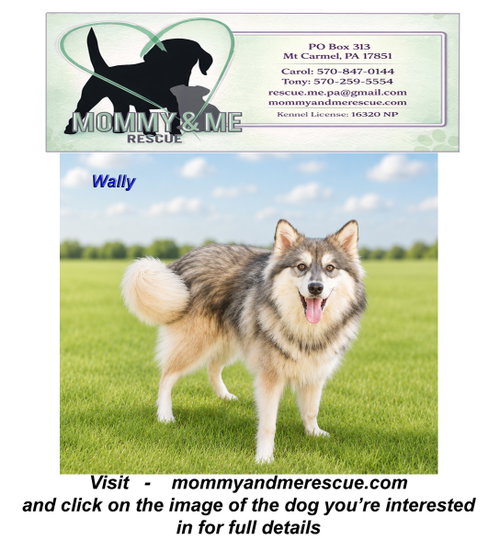 Wally