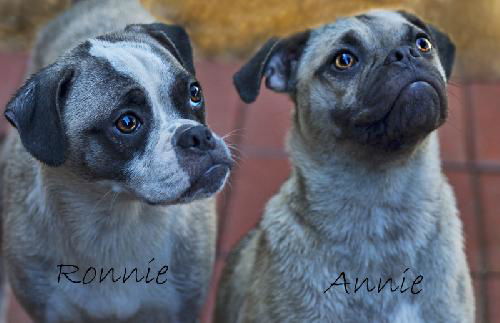 Ronnie & Annie