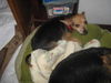 Lucy & Daisy