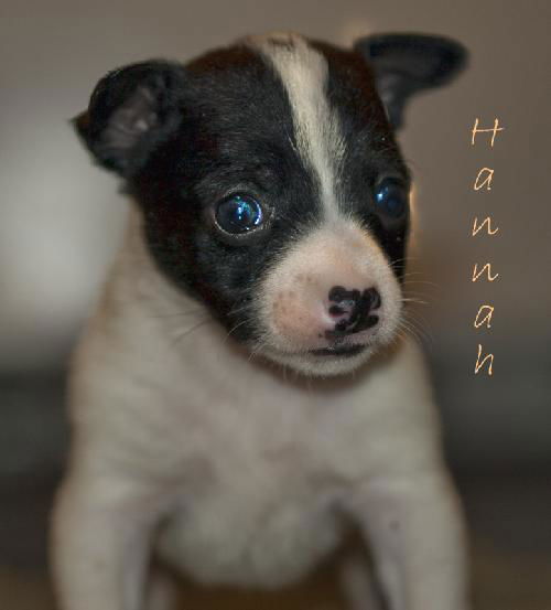 Hannah