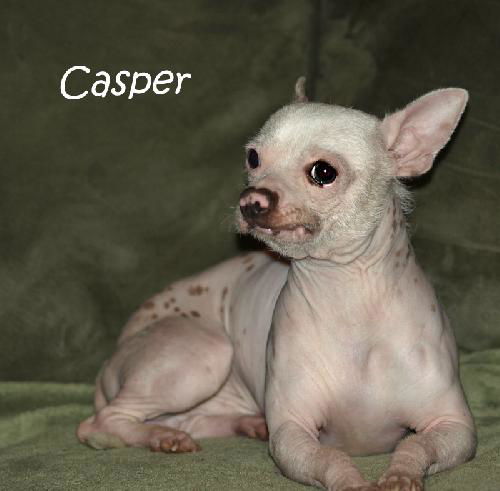 Casper