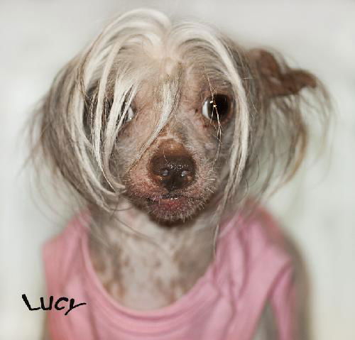 Lucy