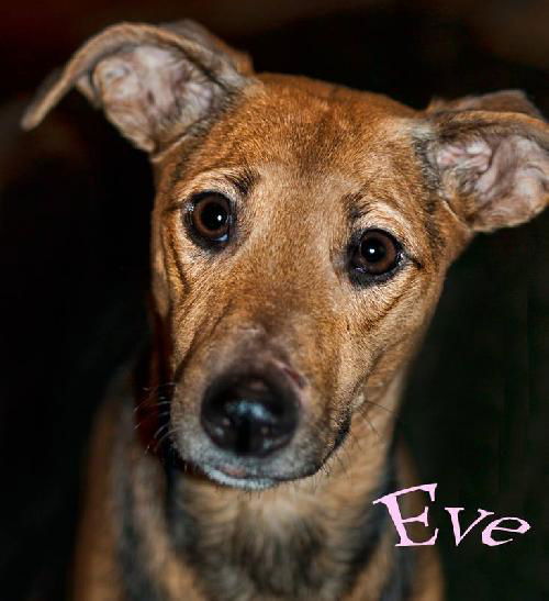 Eve