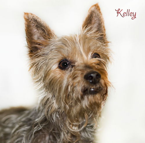Kelley