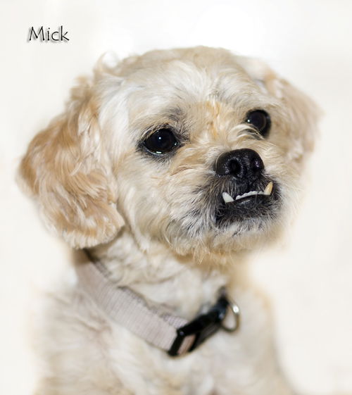 Mick