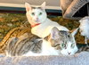 KITTY MARILYN - Photo 3