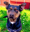 OAKLEY - Photo 3