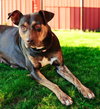 OAKLEY - Photo 4