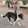 BEAUREGARD - Photo 3