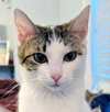MOMMA PEACH - Photo 4