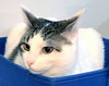 MOMMA PEACH - Photo 3